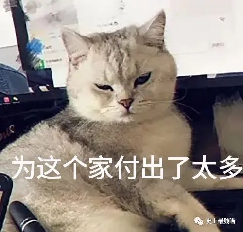 “当钢铁直男遇到明星后的反应...” 哈哈哈哈哈没见过这么好笑的对话！