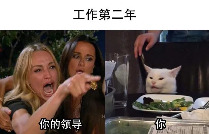 “当钢铁直男遇到明星后的反应...” 哈哈哈哈哈没见过这么好笑的对话！