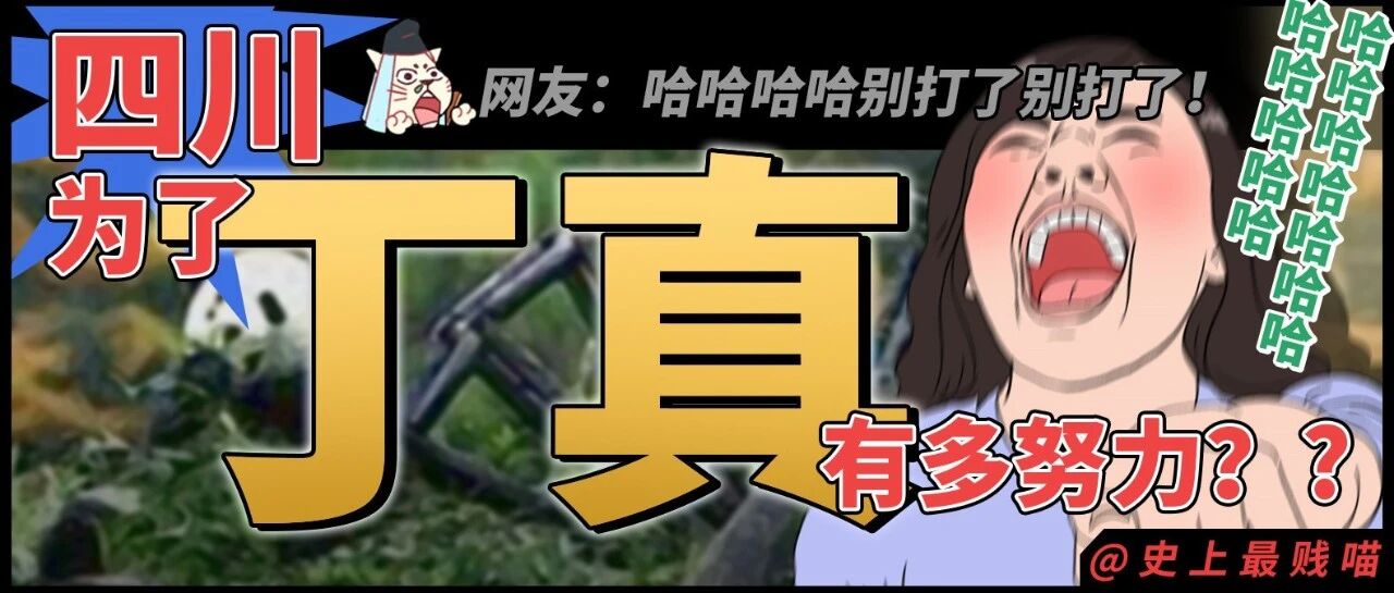 “四川为了丁真有多努力？？” 网友: 哈哈哈哈哈求求你们别打了！！！