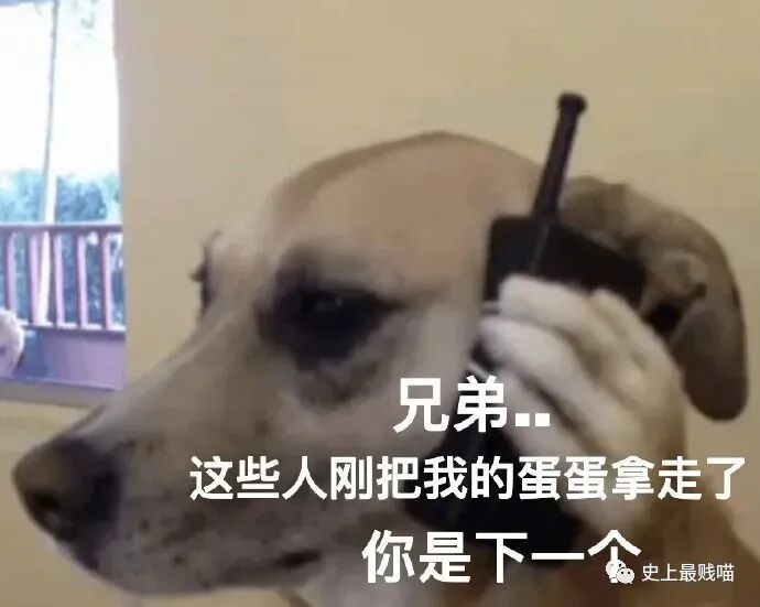 【爆笑】千万别随便翻别人手机相册！否则…太尴尬了哈哈哈哈（组图） - 24