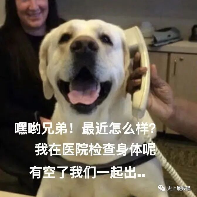 【爆笑】千万别随便翻别人手机相册！否则…太尴尬了哈哈哈哈（组图） - 23
