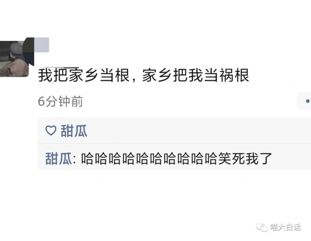 【爆笑】“千万！不要！随便自己染头发！！”哈哈哈哈哈这翻车现场给我笑麻了..（组图） - 12