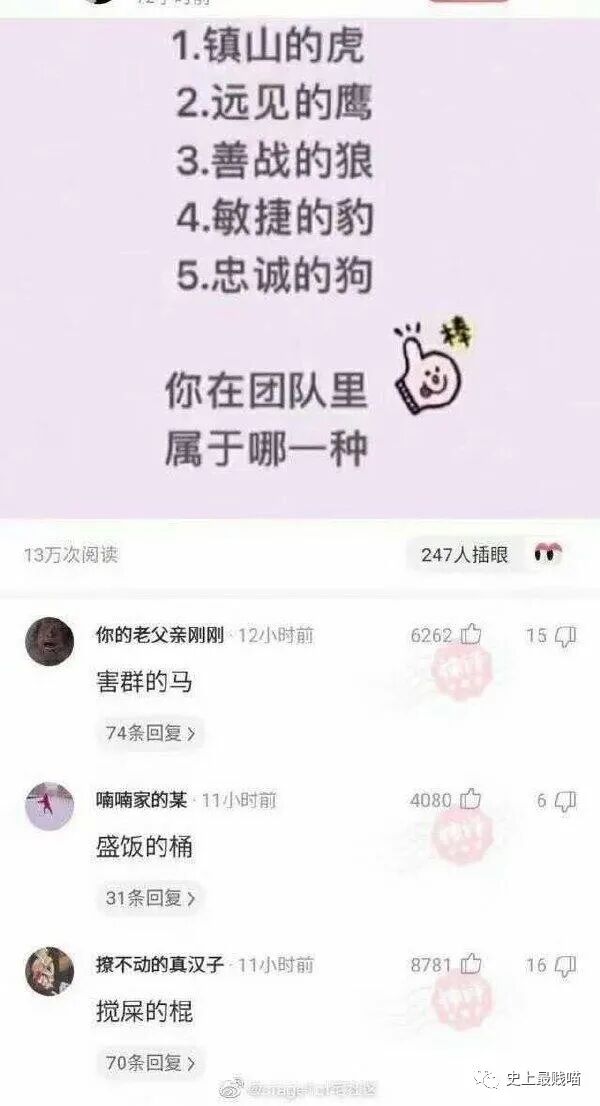 【爆笑】单身和穷必选一个，你会怎么选？答案扎心…笑岔气哈哈哈哈哈哈哈（组图） - 24