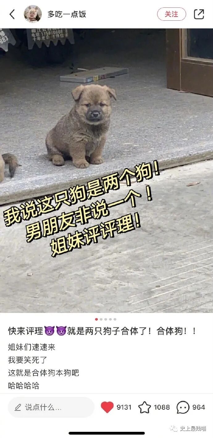 【爆笑】“Tony你欠我的用什么还！！” 哈哈哈哈哈网友理发翻车大型事故现场（组图） - 32