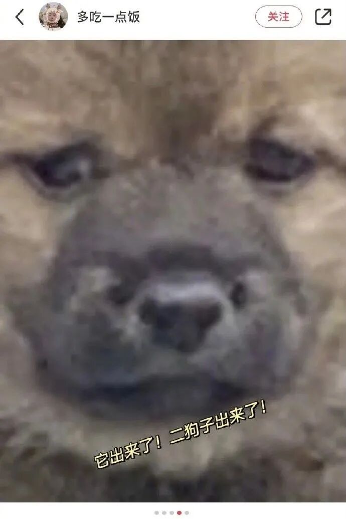 【爆笑】“Tony你欠我的用什么还！！” 哈哈哈哈哈网友理发翻车大型事故现场（组图） - 35