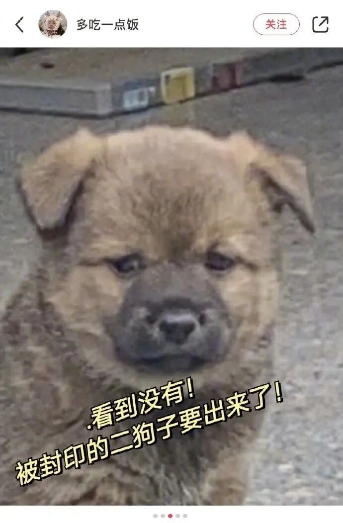 【爆笑】“Tony你欠我的用什么还！！” 哈哈哈哈哈网友理发翻车大型事故现场（组图） - 34