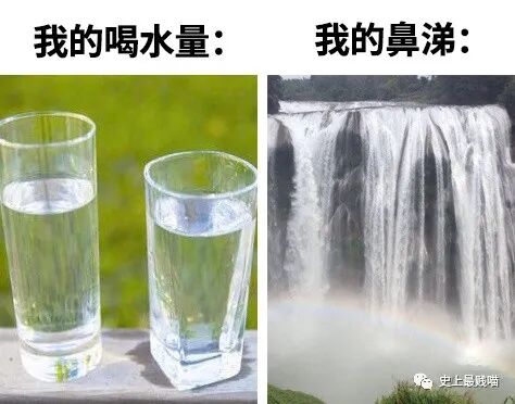 【爆笑】“Tony你欠我的用什么还！！” 哈哈哈哈哈网友理发翻车大型事故现场（组图） - 53