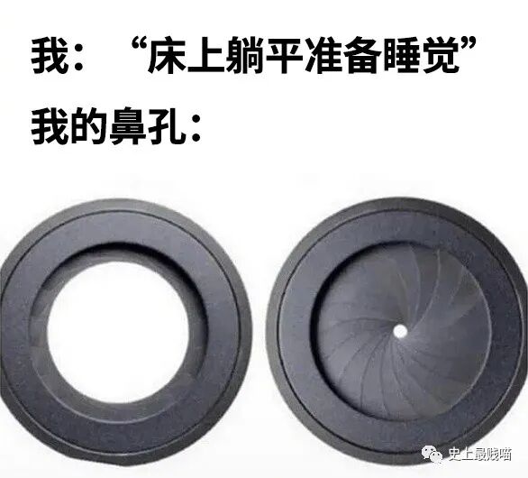 【爆笑】“Tony你欠我的用什么还！！” 哈哈哈哈哈网友理发翻车大型事故现场（组图） - 52