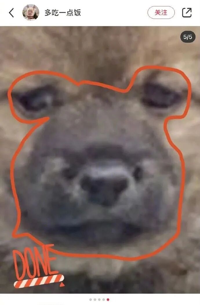 【爆笑】“Tony你欠我的用什么还！！” 哈哈哈哈哈网友理发翻车大型事故现场（组图） - 36