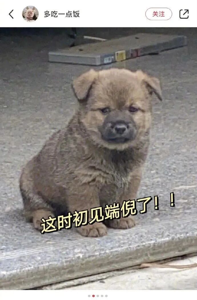 【爆笑】“Tony你欠我的用什么还！！” 哈哈哈哈哈网友理发翻车大型事故现场（组图） - 33