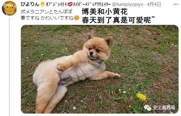 【爆笑】“Tony你欠我的用什么还！！” 哈哈哈哈哈网友理发翻车大型事故现场（组图） - 80