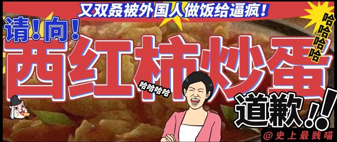 “请！向！西红柿炒蛋！道歉！！”中国人又双叒被外国人做饭给逼疯！