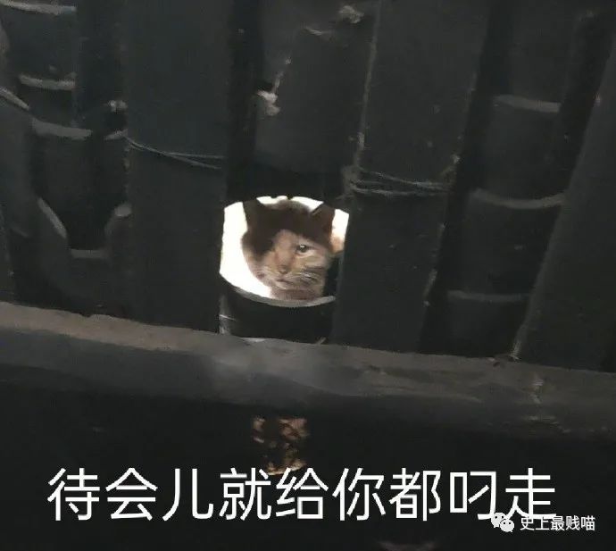 “网X云年度歌单翻车现场!” 哈哈哈哈哈哈哈被网友评论笑尿了!!-微信头条网 “网X云年度歌单翻车现场!” 哈哈哈哈哈哈哈被网友评论笑尿了!!