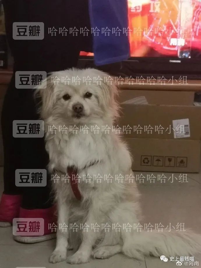 “网X云年度歌单翻车现场!” 哈哈哈哈哈哈哈被网友评论笑尿了!!-微信头条网 “网X云年度歌单翻车现场!” 哈哈哈哈哈哈哈被网友评论笑尿了!!