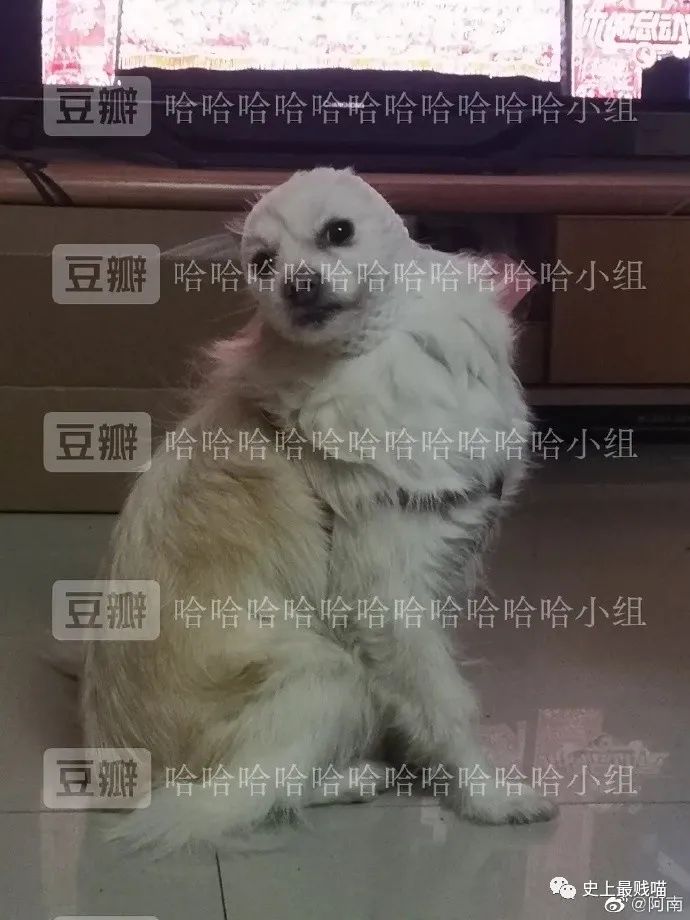 “网X云年度歌单翻车现场!” 哈哈哈哈哈哈哈被网友评论笑尿了!!-微信头条网 “网X云年度歌单翻车现场!” 哈哈哈哈哈哈哈被网友评论笑尿了!!