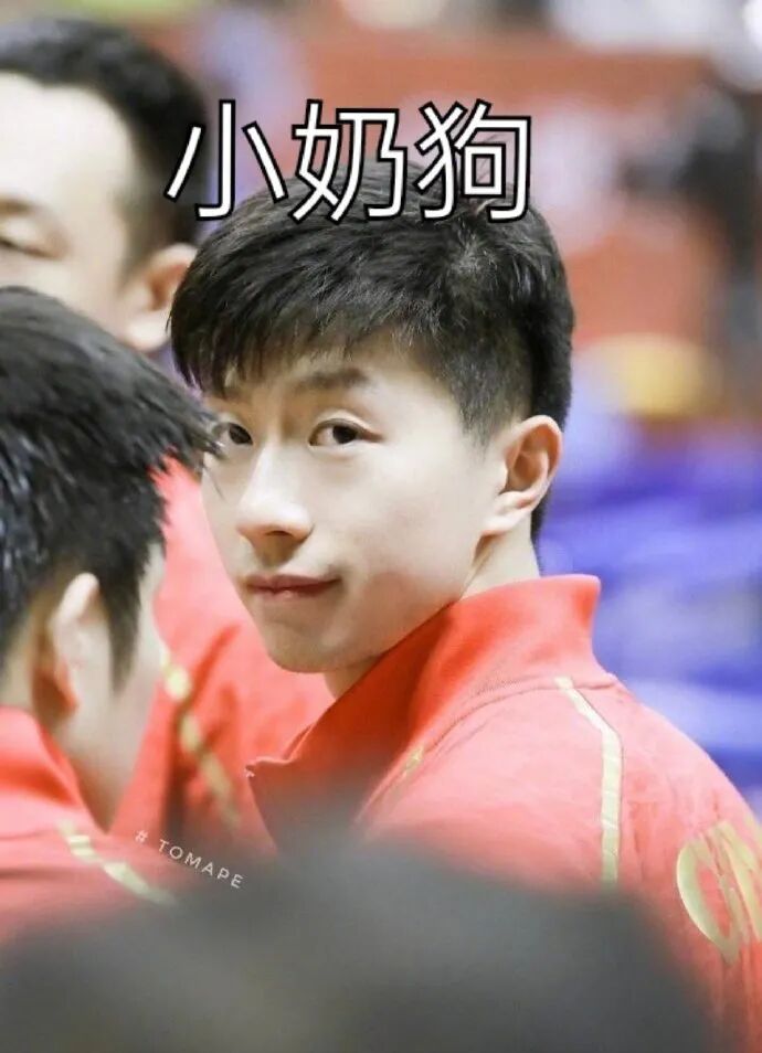 "求求了,给张继科马龙留点面子吧!"哈哈哈哈被扒的内裤都不剩了.-友友