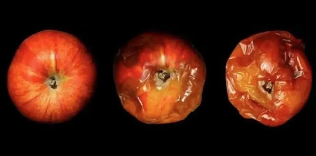 什么是氩气刀什么是萎缩性胃炎？是否癌变？如何治疗？_https://www.jmylbn.com_新闻资讯_第3张