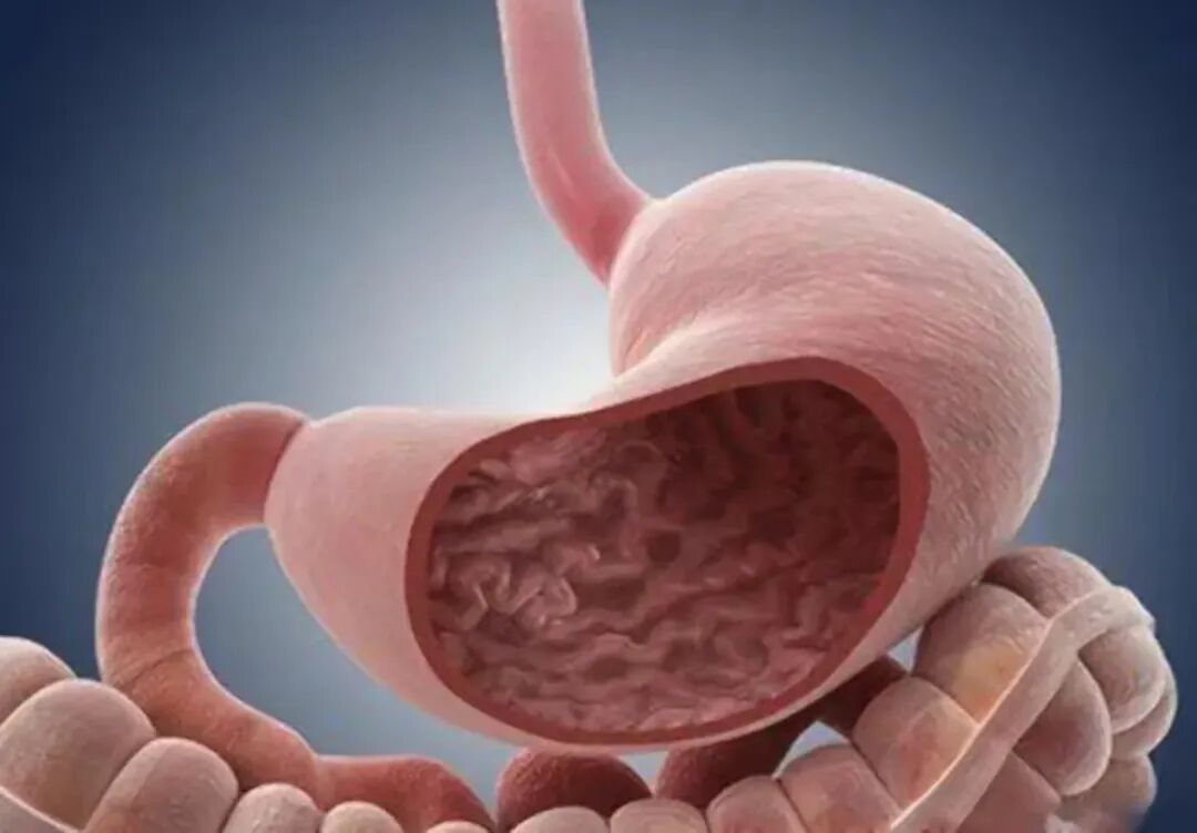 什么是氩气刀什么是萎缩性胃炎？是否癌变？如何治疗？_https://www.jmylbn.com_新闻资讯_第4张