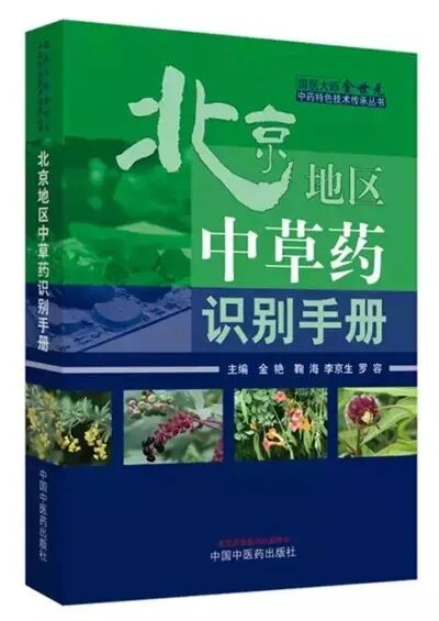 《北京地区中草药识别手册》——中药知识之山药