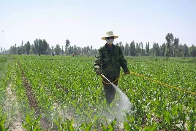 除草剂调配方法_除草剂配方制作大全_除草剂配方