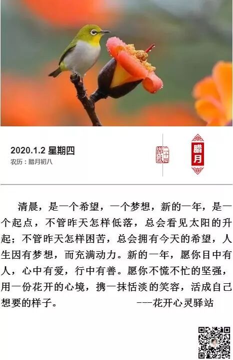 花开心灵驿站 自由微信 Freewechat