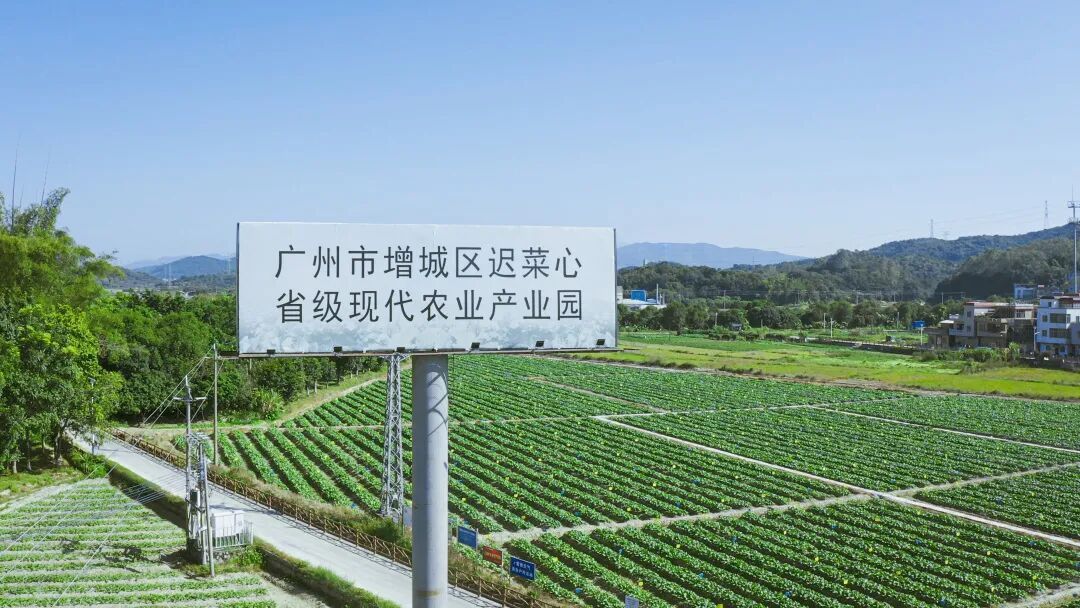 *新透露！2023年，广州增城13镇街这样干！