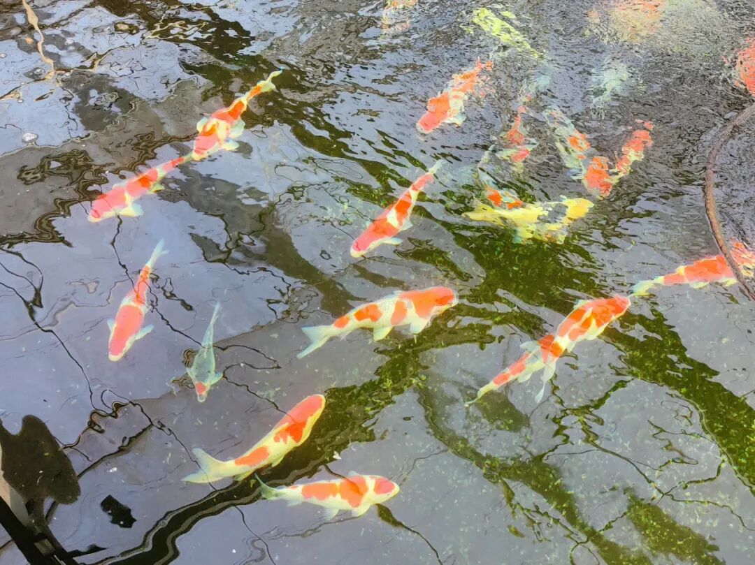 中信银行合肥分行用实际行动担当惠企利民责任，助力实体经济发展