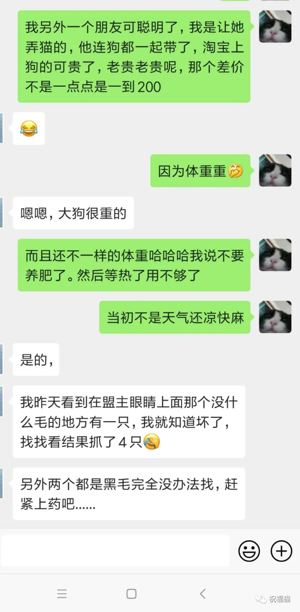 后悔打了腮腺炎疫苗_打腮腺炎疫苗还会得吗_腮腺炎打过疫苗为什么还会得病