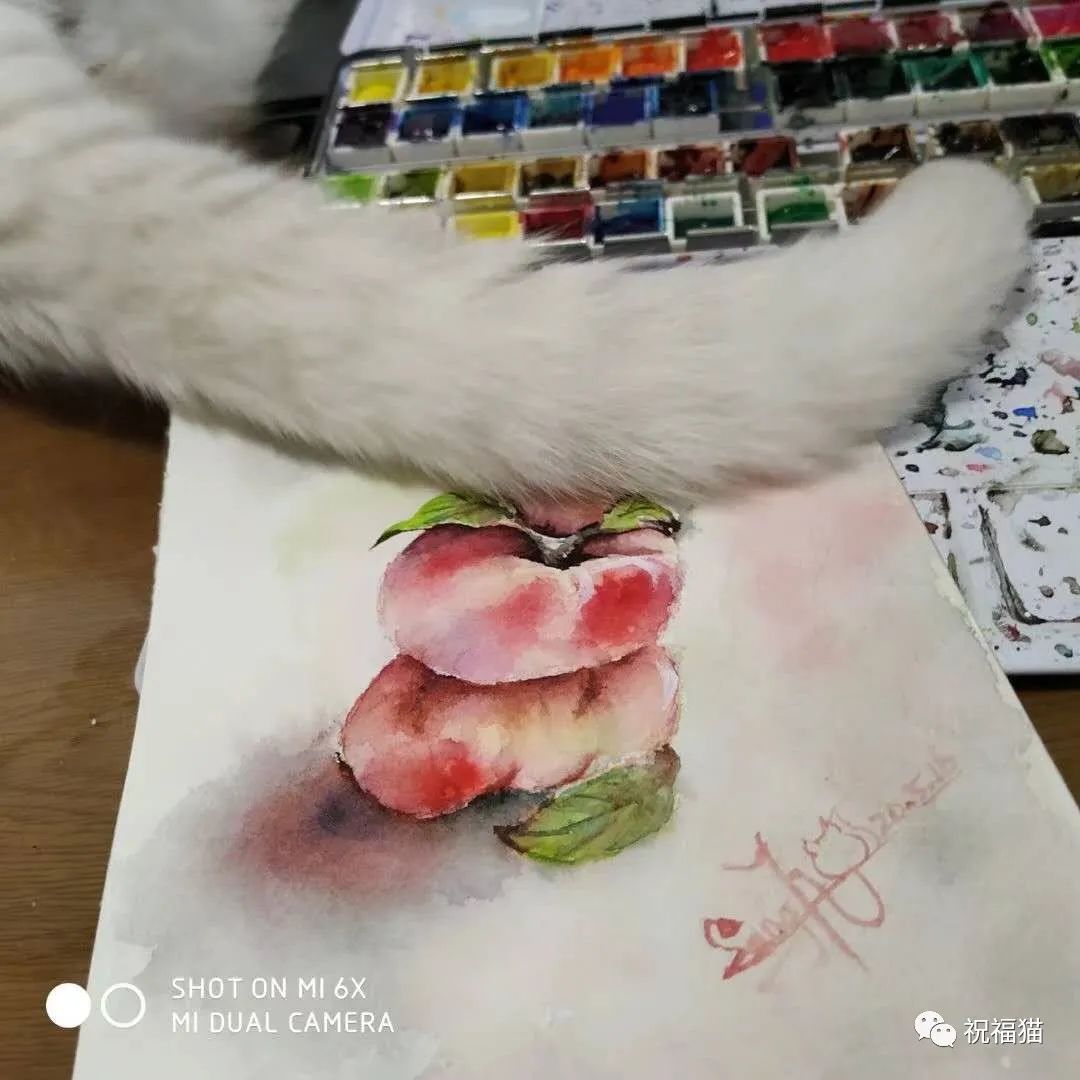 腮腺炎打过疫苗为什么还会得病_后悔打了腮腺炎疫苗_打腮腺炎疫苗还会得吗