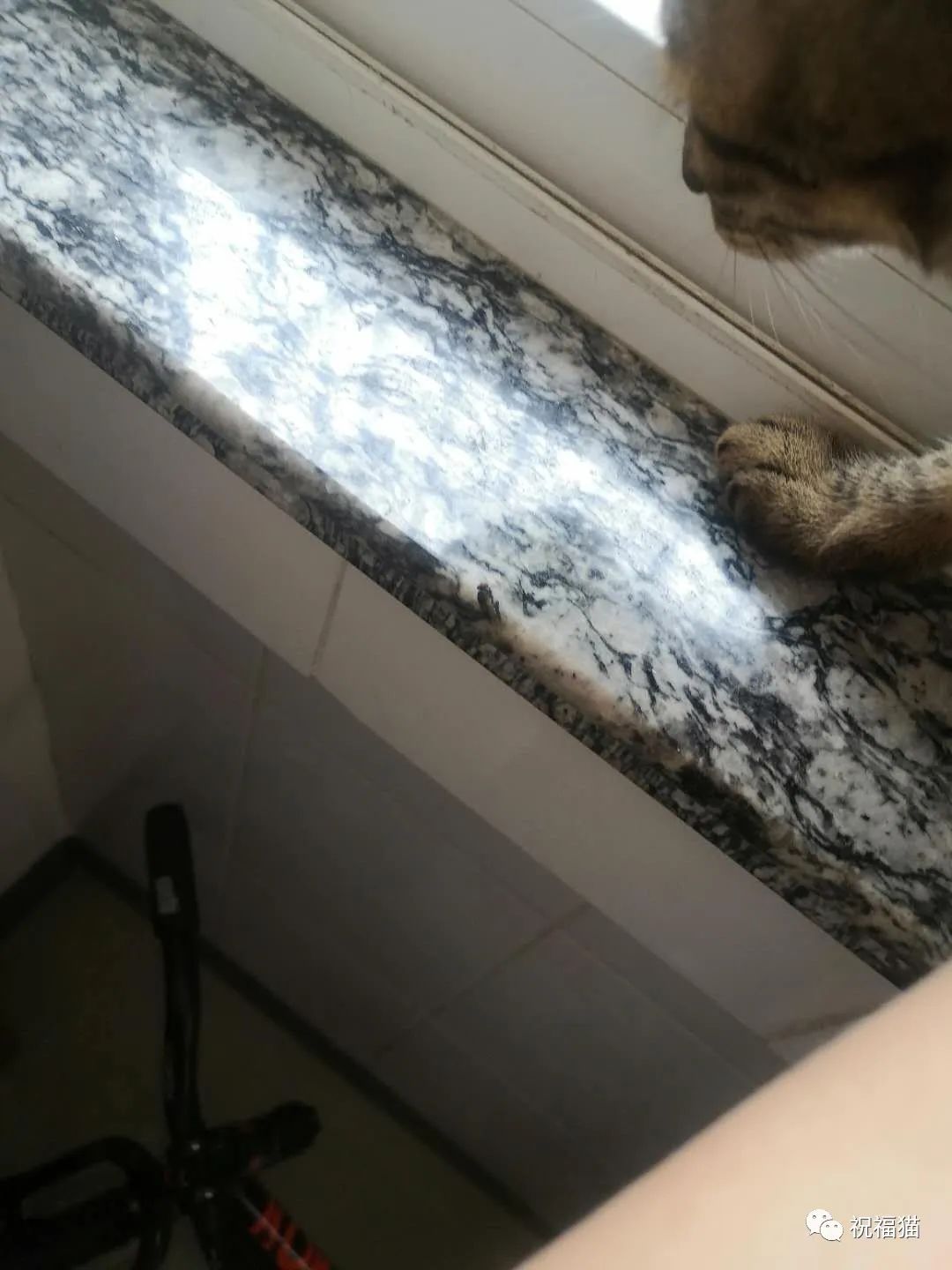 打腮腺炎疫苗还会得吗_后悔打了腮腺炎疫苗_腮腺炎打过疫苗为什么还会得病