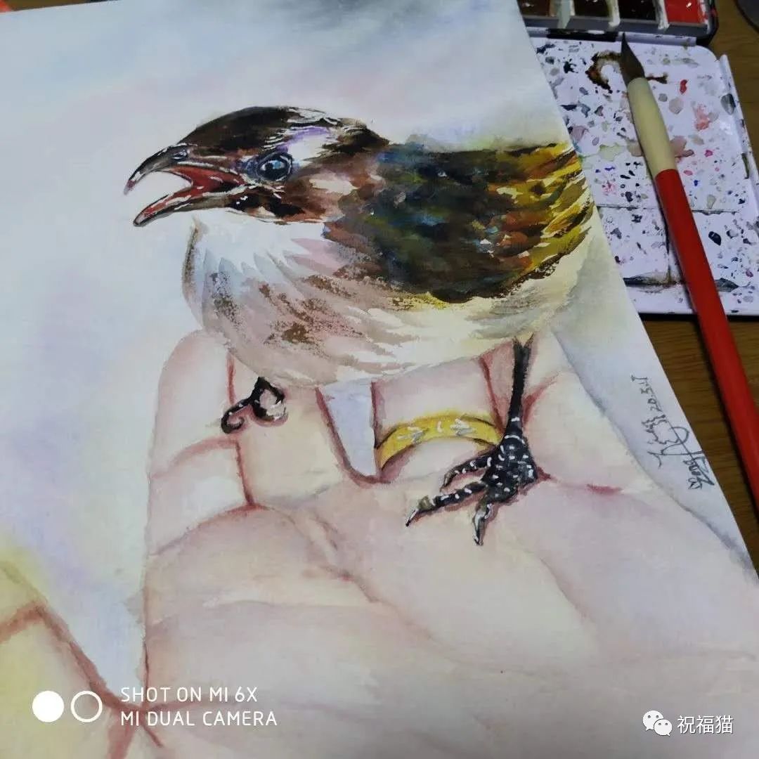 打腮腺炎疫苗还会得吗_腮腺炎打过疫苗为什么还会得病_后悔打了腮腺炎疫苗