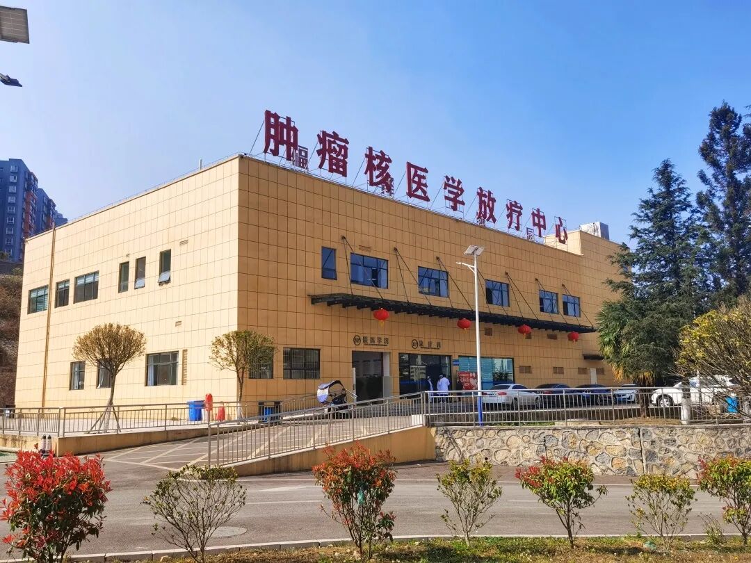 d-spect怎么检查【核医学科普】SPECT-CT全身骨显像wholebody bone scan给全身骨骼拍张“艺术照”_https://www.jmylbn.com_新闻资讯_第34张