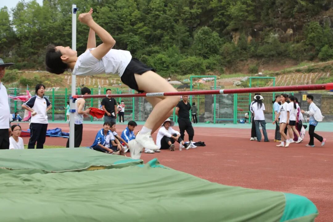 70992e45a9fe162cf599d90152c6fd2.jpg
