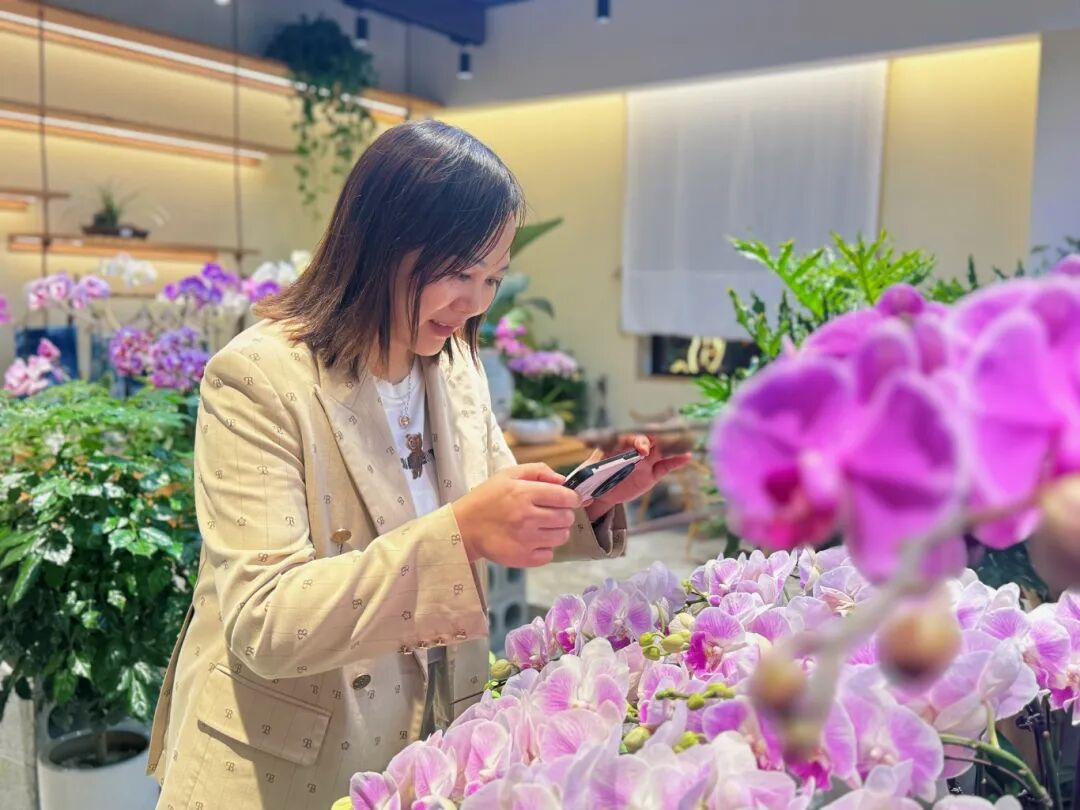 顾客周冰店内选购兰花.JPG