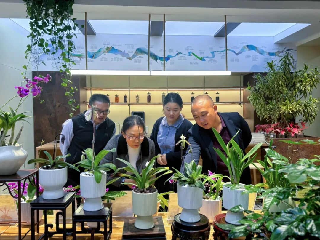 周刚向顾客介绍馆内兰花 (2).JPG