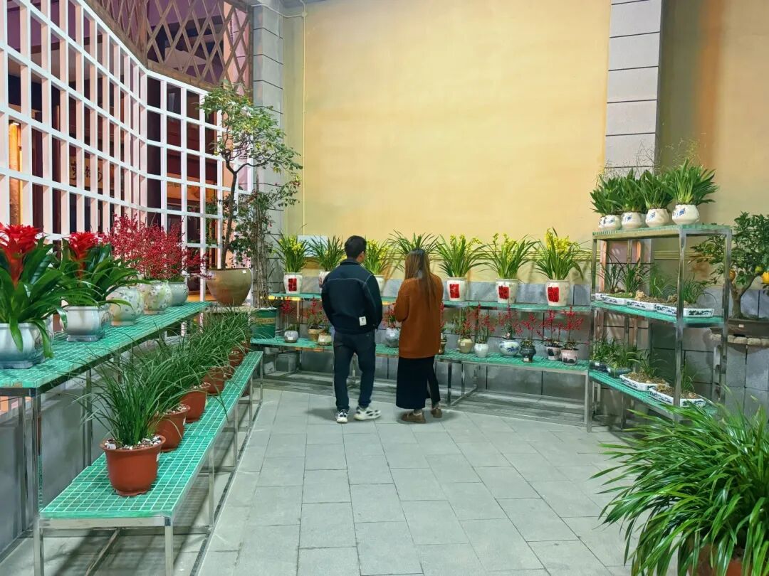 兰花馆花坊 (2).JPG