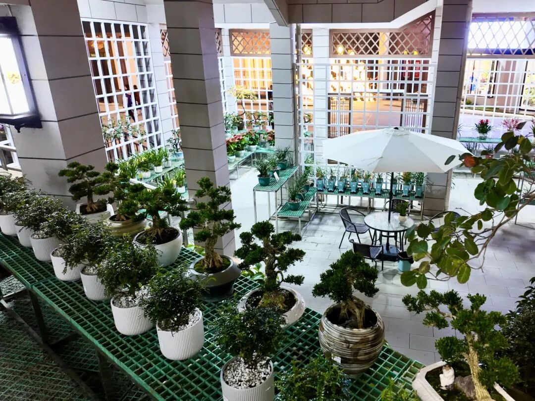 兰花馆花坊.JPG