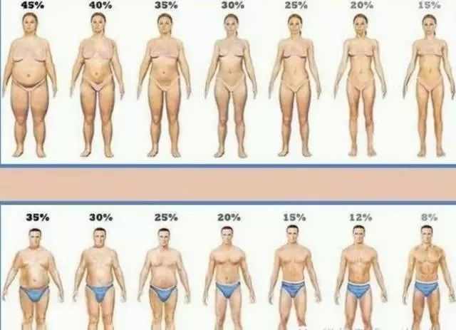 代 女性 体 脂肪 40 体脂肪率で変わる女性の見た目をチェック！年代別の平均値と目標数値の目安