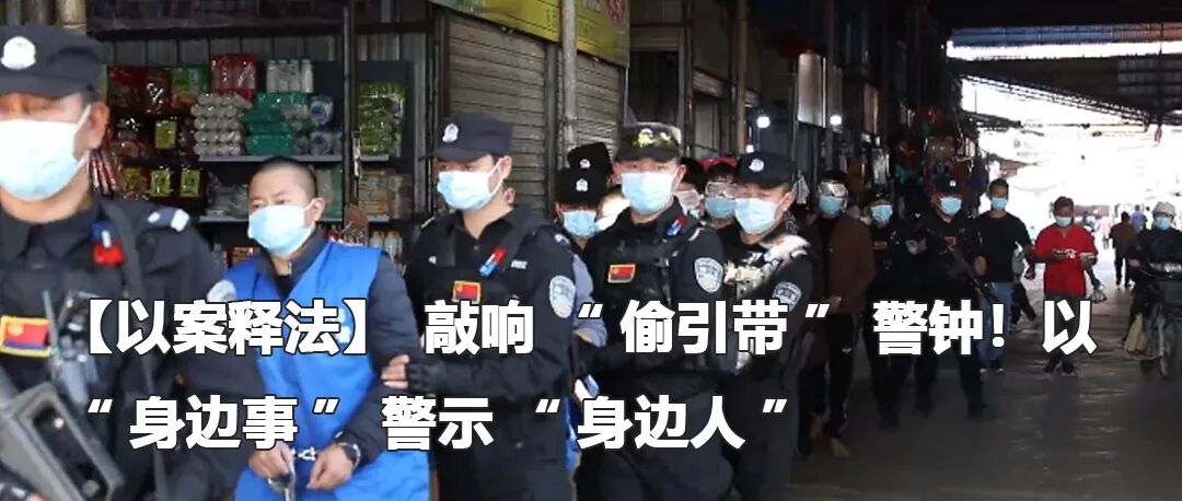 云南政法