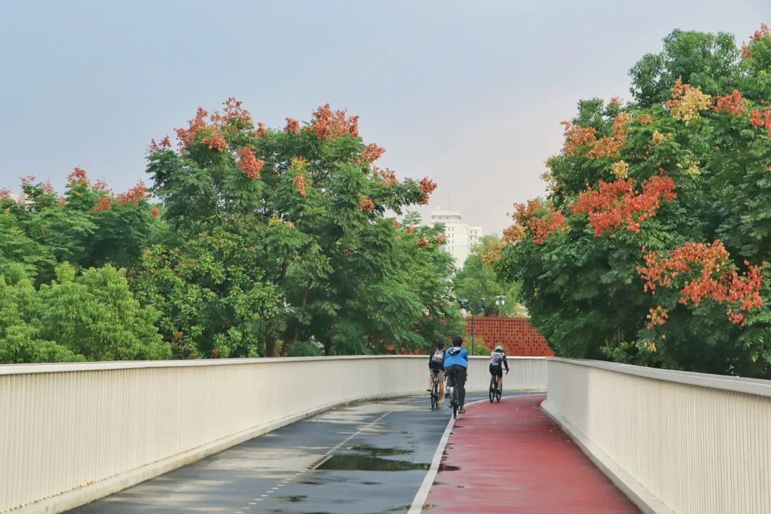 船塢濱江綠地 @王維維.jpg