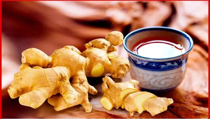 为什么到了夏天慢阻肺更厉害【药学科普】冬病夏治，三伏调理慢阻肺_https://www.jmylbn.com_新闻资讯_第24张