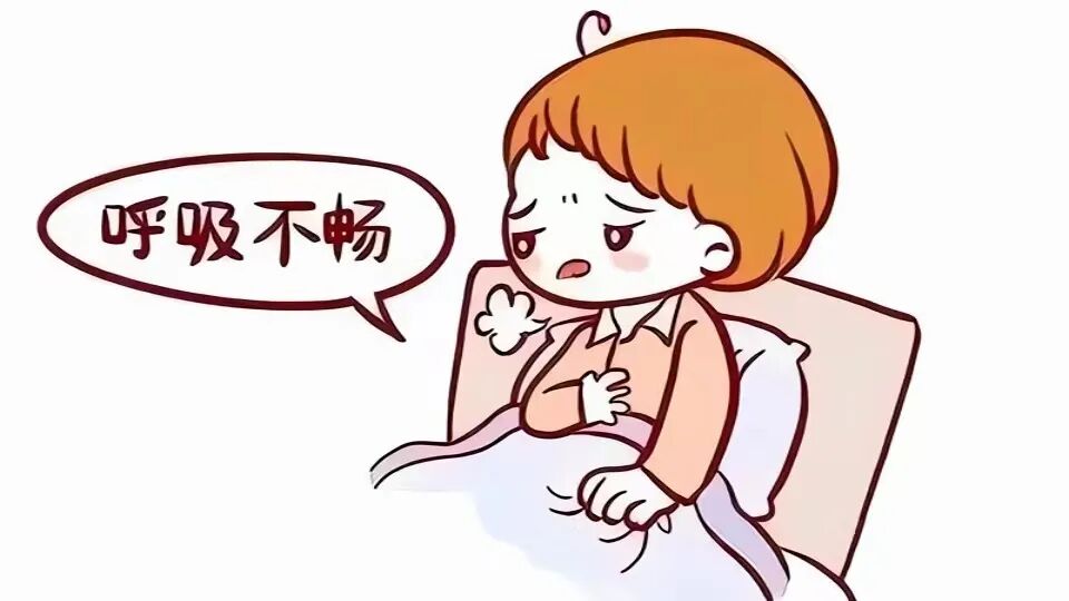 为什么到了夏天慢阻肺更厉害【药学科普】冬病夏治，三伏调理慢阻肺_https://www.jmylbn.com_新闻资讯_第16张