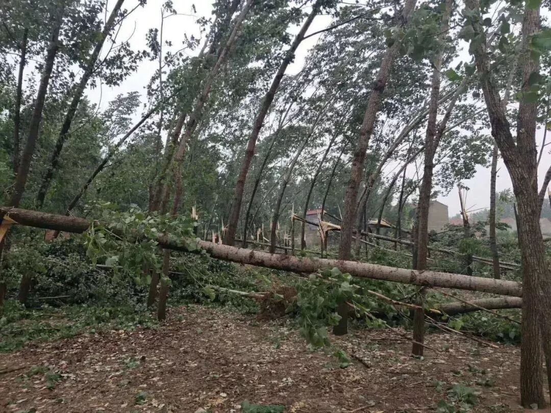 河南杞县突下暴雨街道被淹
