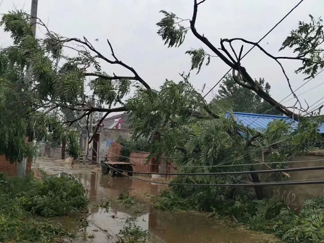 河南杞县突下暴雨街道被淹
