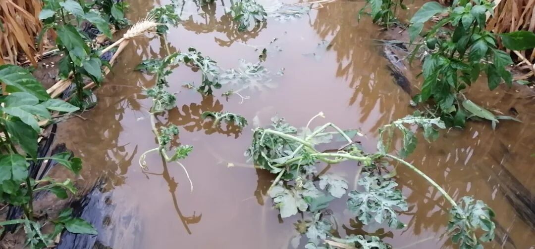 河南杞县突下暴雨街道被淹