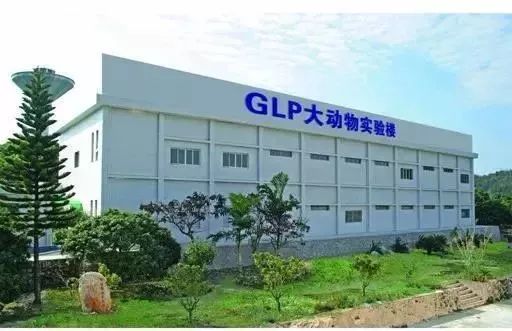 全球 科技公司_全球科技公司排名前十_科技全球公司排名