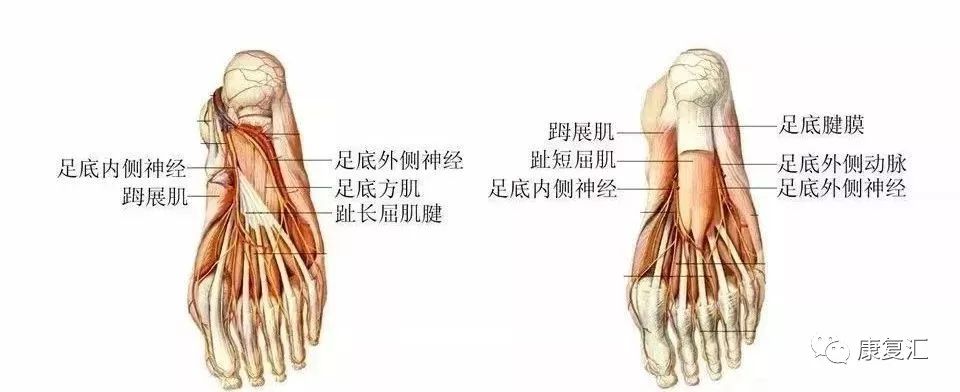 足底疼痛酸脹怎麼辦？這裡有最全的踝管綜合症康復治療方案！ 健康 第6張