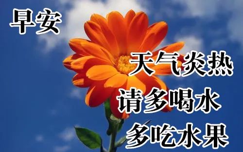 1000以上5月24日花 大きな新しい壁紙無料ihd