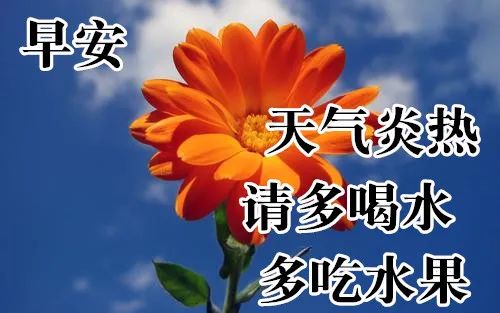 1000以上5月24日花 大きな新しい壁紙無料ihd