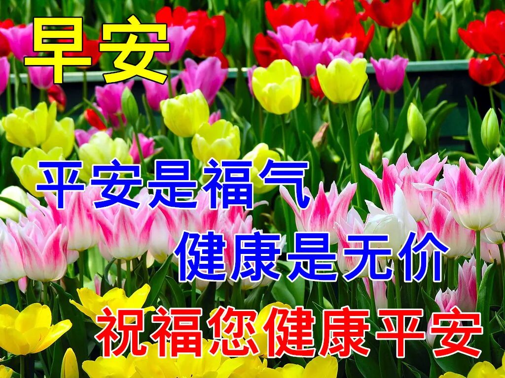 6月17日早上好动态表情图片大全 早晨好动图美图大全 Hi有料